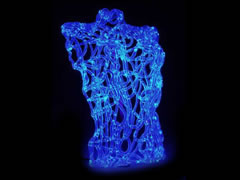 UV- Torso